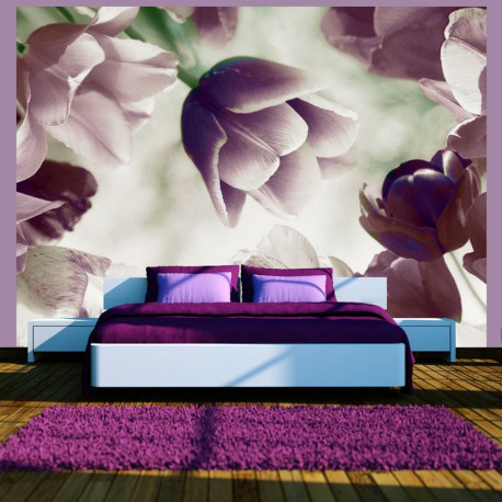 Fototapeet - Heavenly tulips - 350x270