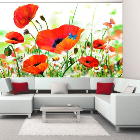 Fototapeet - Country poppies - 350x270