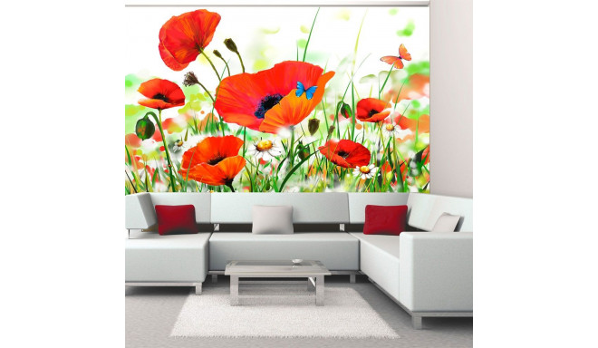 Fototapeet - Country poppies - 200x154