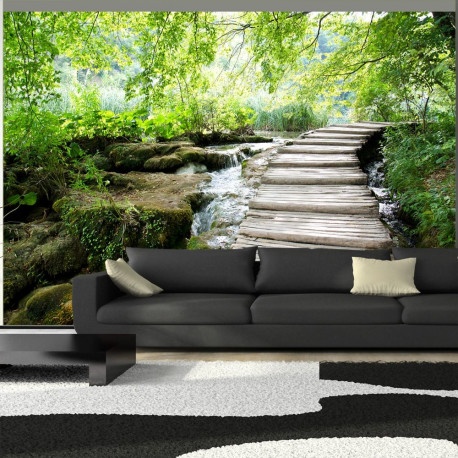 Fototapeet - Forest path - 250x175