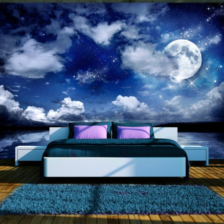 Fototapeet - Magic night - 400x280