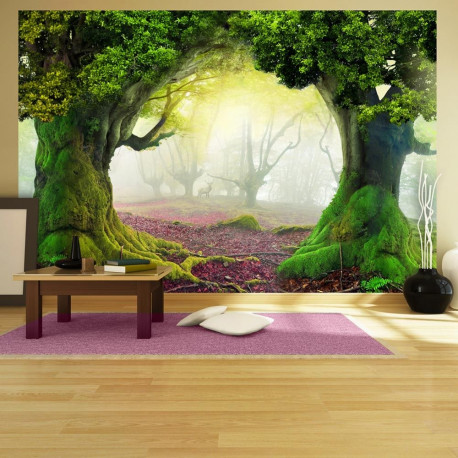 Fototapeet - Enchanted forest - 400x280