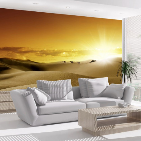 Fototapeet - March of camels - 100x70