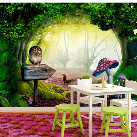 Fototapeet - Owlish corner - 250x175