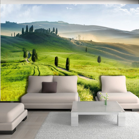 Fototapeet - Morning in the countryside - 200x140