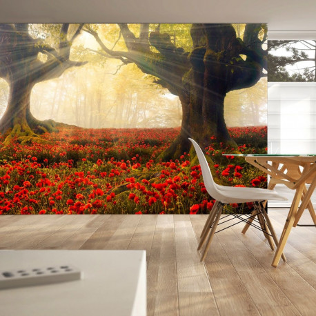 Fototapeet - Morning among poppies - 400x280