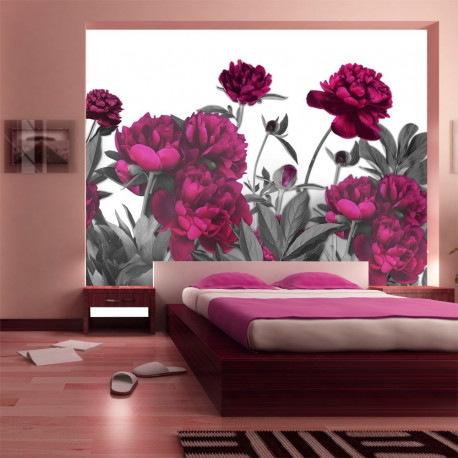 Fototapeet - Lush meadow - 400x280