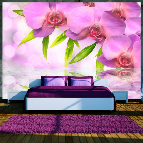 Fototapeet - Orchids in lilac colour - 100x70