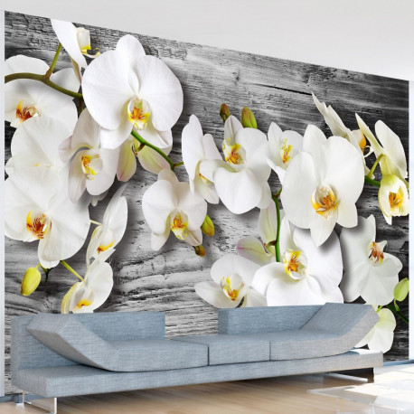 Fototapeet - Callous orchids III - 300x210