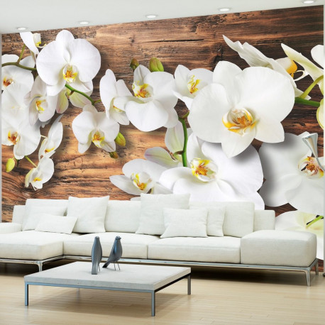 Fototapeet - Forest Orchid - 100x70