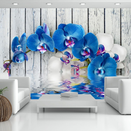 Fototapeet - Cobaltic orchid - 250x175