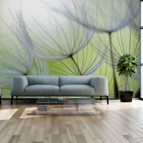 Fototapeet - Fleeting moments - 100x70
