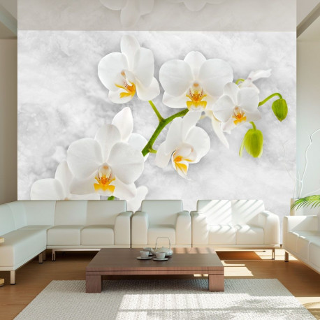 Fototapeet - Lyrical orchid - White - 200x140