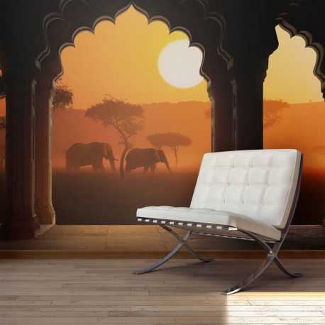 Fototapeet - Hear Africa - 450x270