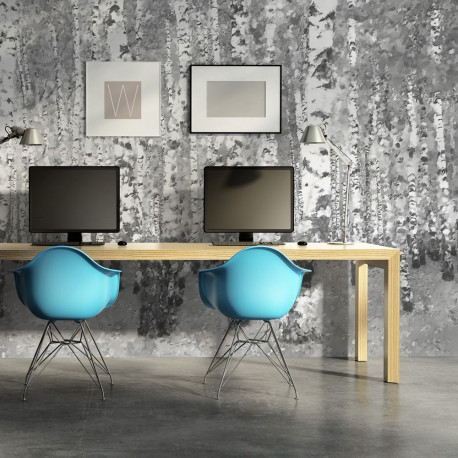 Fototapeet - Birch seclusion - 450x270