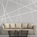Fototapeet - Modern Cobweb - 250x175