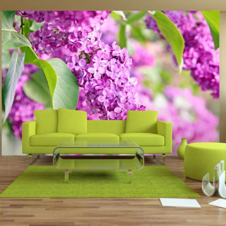 Fototapeet - Lilac flowers - 250x175
