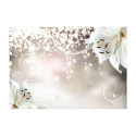 Fototapeet - Magic composition - 100x70