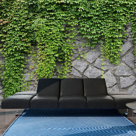 Fototapeet - Green wall - 250x175