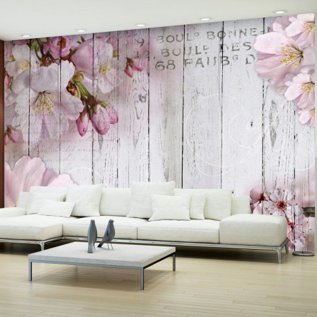 Fototapeet - Apple Blossoms - 150x105