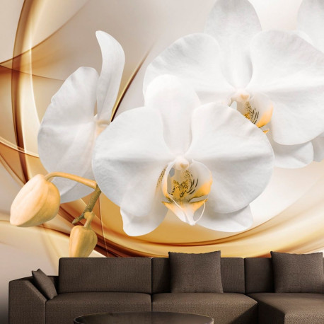 Fototapeet - Orchid blossom - 400x280