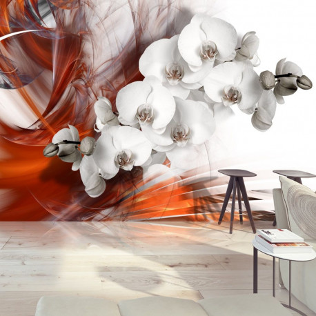 Fototapeet - Orchid on fire II - 250x175