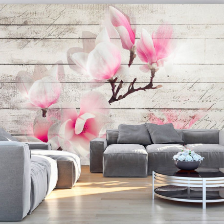 Fototapeet - Gentleness of the Magnolia - 300x210