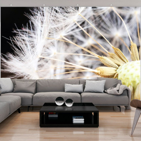 Fototapeet - Fluffy dandelion - 350x245