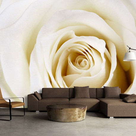 Fototapeet - Pearl maze - 300x210
