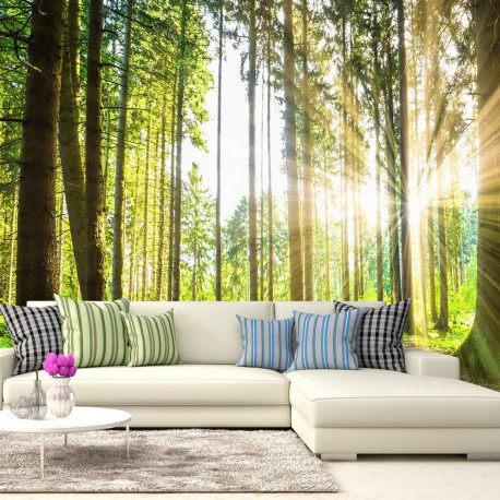 Fototapeet - Forest Tales - 100x70