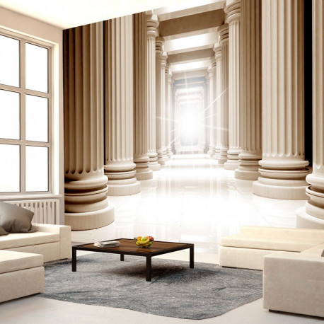 Fototapeet - In the ancient pantheon - 250x175