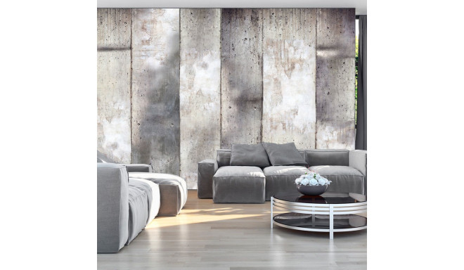 Fototapeet - Gray stripes - 250x175