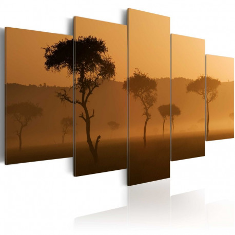 Seinapilt - Fog over a savannah - 200x100