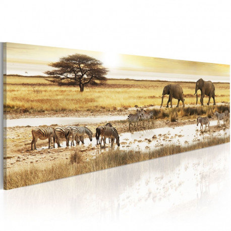 Seinapilt - Africa: at the waterhole - 120x40