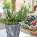 GARDENA Secateurs HerbCut (grey/turquoise, herb scissors with defoliation function)