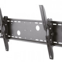 NEWSTAR FLAT SCREEN WALL MOUNT (TILTABLE) 37-85" BLACK