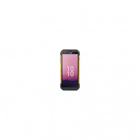 CipherLab RS36 Series, 2D, SE5500, 14 cm (5.5''), GPS, USB-C, BT, Wi-Fi, 4G, NFC, Android