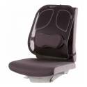 Back support ergonomic FELLOWES Professional Series™ black