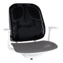 Back support ergonomic FELLOWES Professional Series™ black
