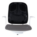 Back support ergonomic FELLOWES Professional Series™ black