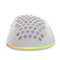 Gaming mouse Genesis Krypton 555 8000DPI RGB