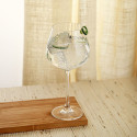 Kokteiliklaas Bohemia Crystal Optic Läbipaistev Klaas 640 ml (6 Ühikut)