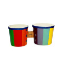 Muusikariist Reig Trummel Puit Plastmass