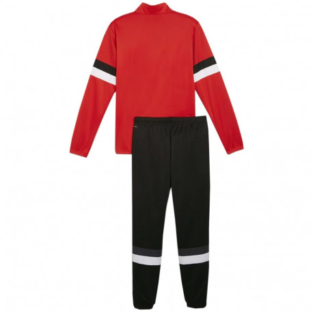 Puma meeste dressid Team Rise 658653 01 S, punane-must