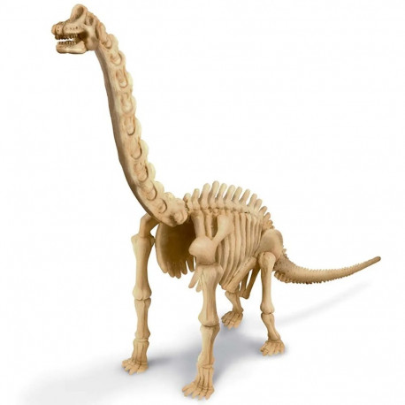 4M KidzLabs meisterdamiskomplekt "Brachiosauruse skelett"