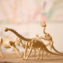 4M KidzLabs craft kit "Brachiosaurus skeleton