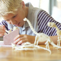4M KidzLabs craft kit "Brachiosaurus skeleton