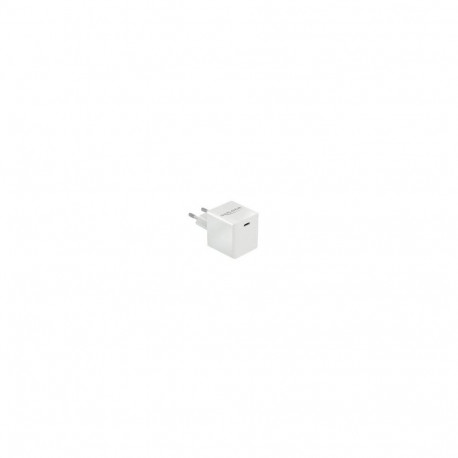 DeLOCK USB charger 1 x USB Type-C PD 3.0 compact with 40 W (white)