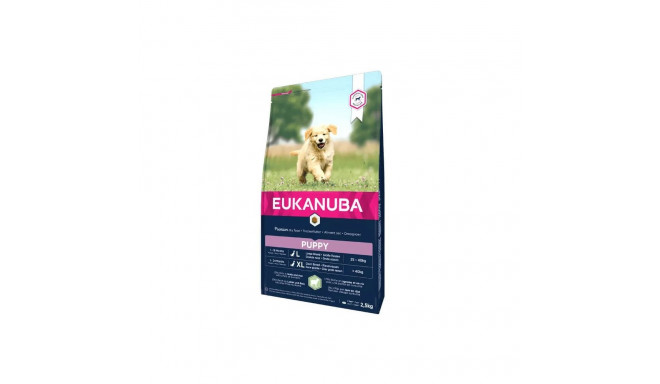EUKANUBA Puppy lambaliha ja riisiga suurtele koertele 12 kg