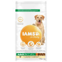 DOG AD LR CKN 12KG, Iams